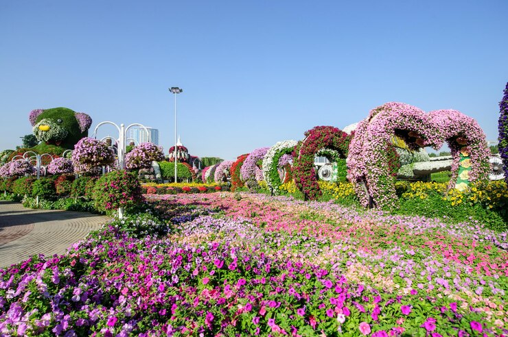 Dubai miracle garden