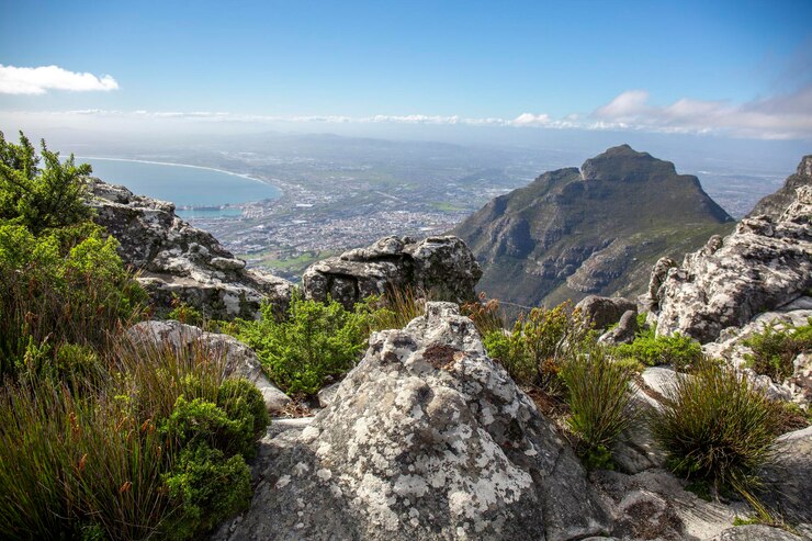 landscape cape town from table mountain