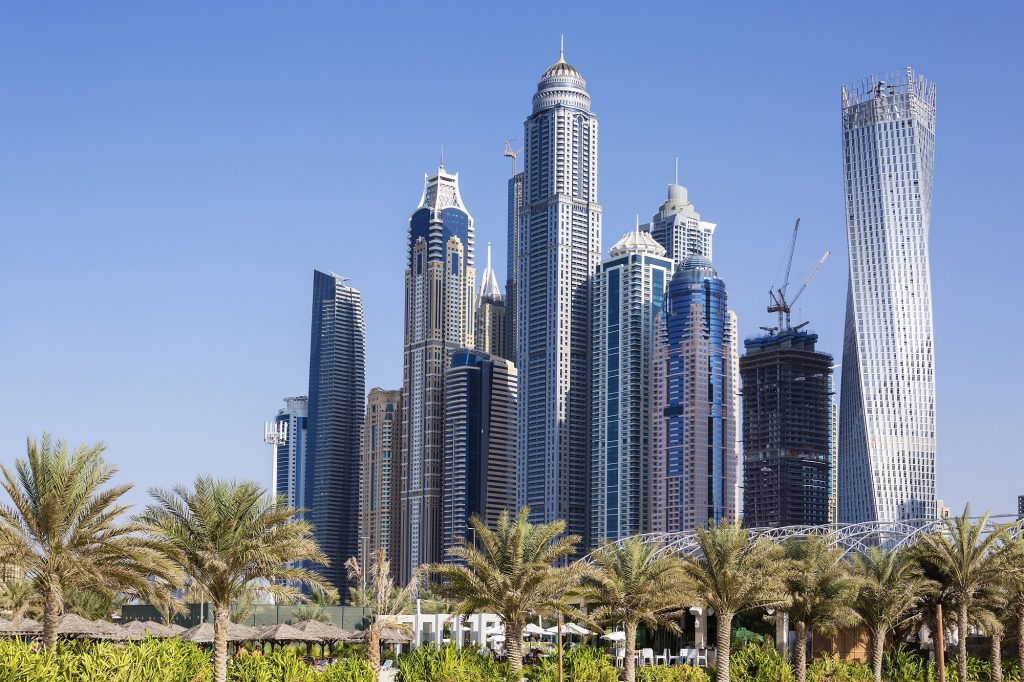 skyscrapers and palm trees