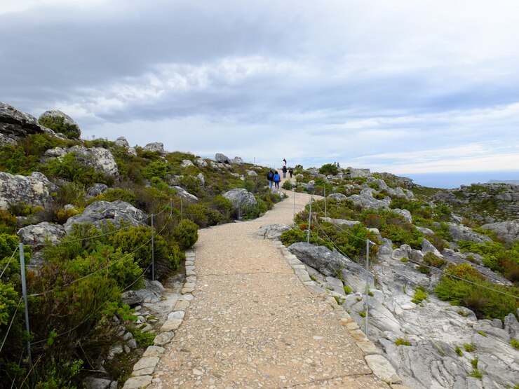 view top table mountain cape town